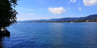 IMG_20240714_111907s.jpg