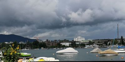IMG_20240716_102822s.jpg