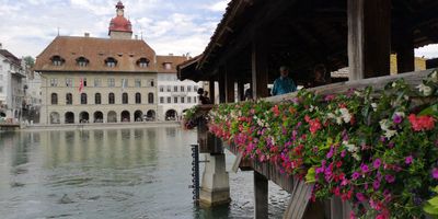 IMG_20240715_112451s.jpg