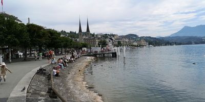 IMG_20240715_114433s.jpg