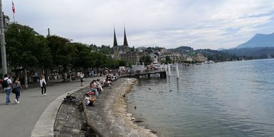 IMG_20240715_114451s.jpg