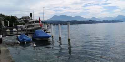 IMG_20240715_114812s.jpg