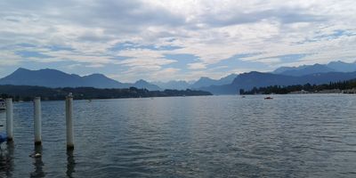 IMG_20240715_114822s.jpg