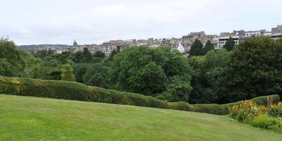 IMG_20250706_091620s.jpg