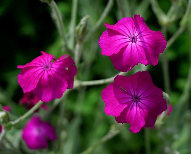 g13/17/118917/2/174695757.6d8b7018.JPEG