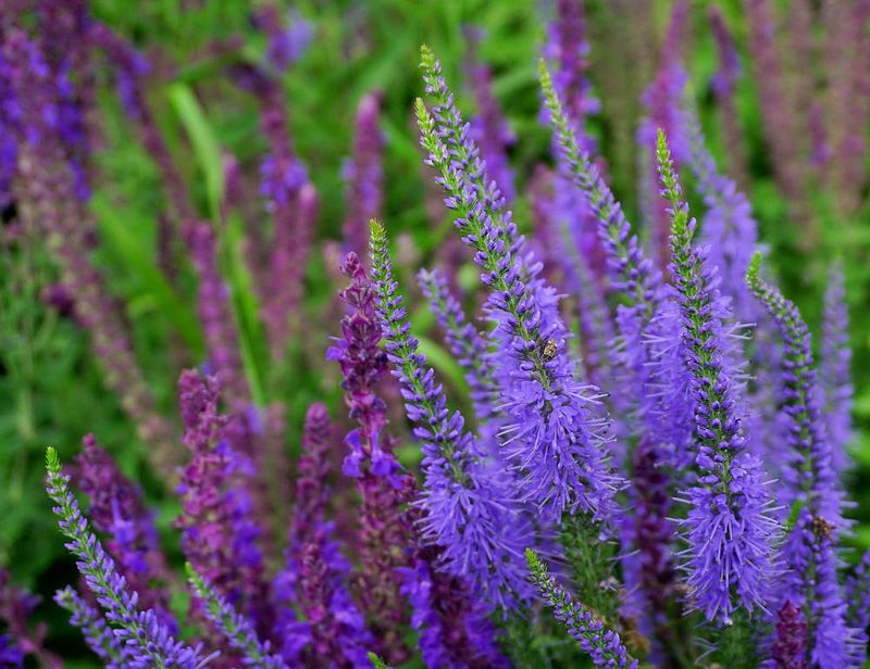 g13/17/118917/2/174699890.d7ab14e0.JPEG