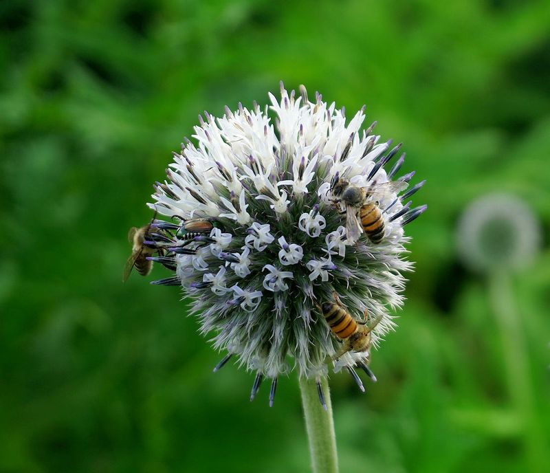 g13/17/118917/2/174758093.d2265a31.JPEG