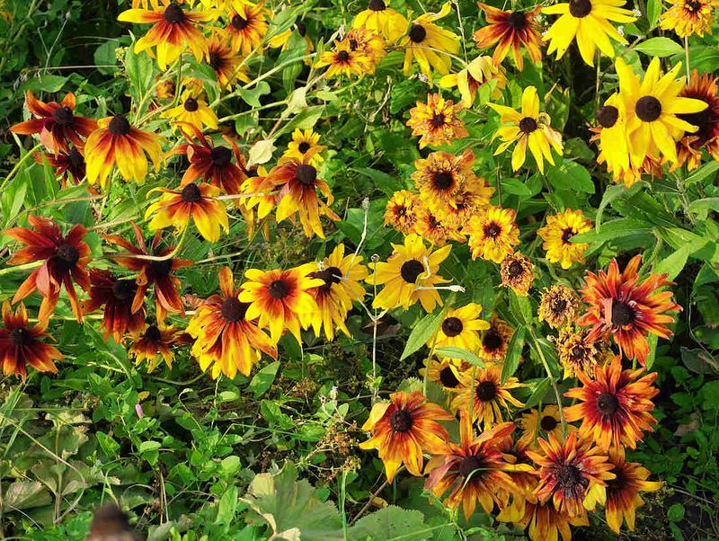 g13/17/118917/2/174842808.a4e4b64a.JPEG