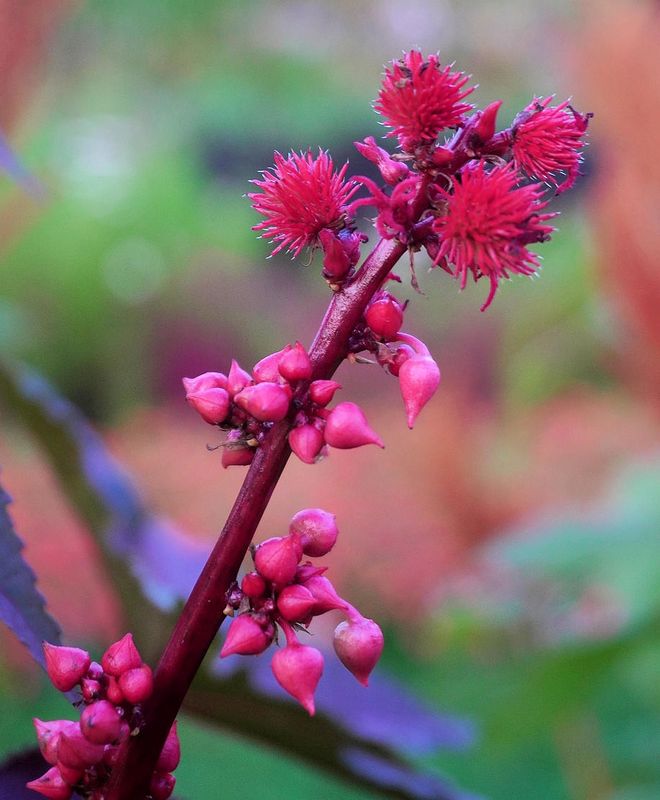 g13/17/118917/2/174897548.a74a1756.JPEG