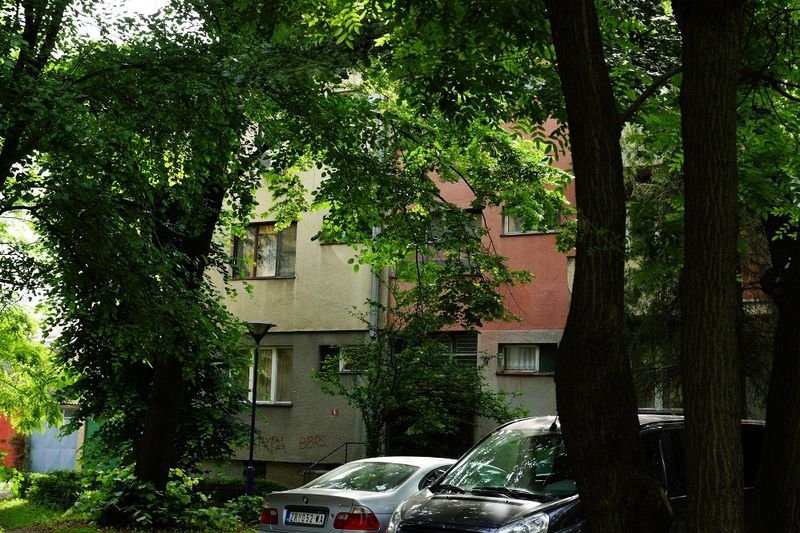 g13/17/118917/2/175253873.e78f019f.JPEG