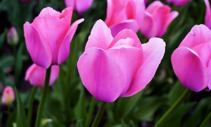 g13/17/118917/2/175540863.8d762b9b.JPEG