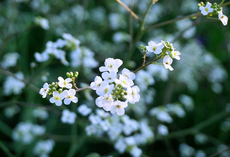 g13/17/118917/2/175600558.41d9b908.JPEG