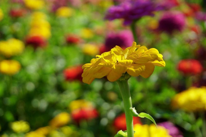 g13/17/118917/2/175836418.f17d1447.JPEG