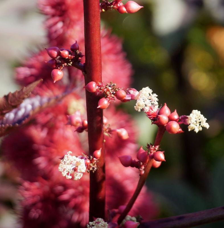 g13/17/118917/2/175838574.a47bee07.JPEG