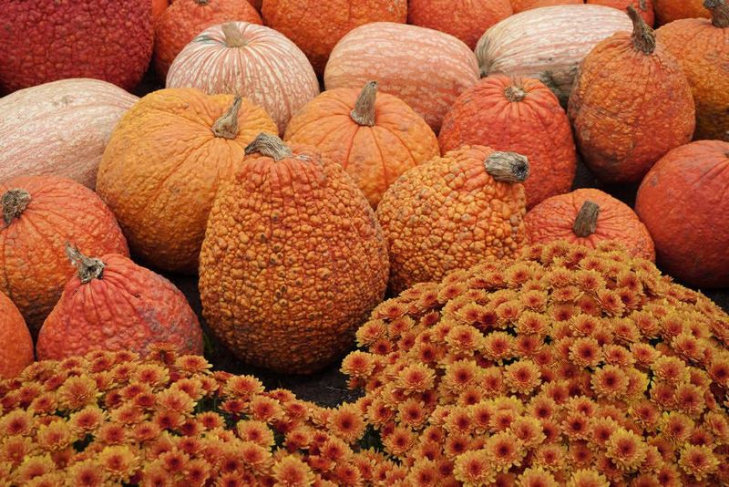 Fall