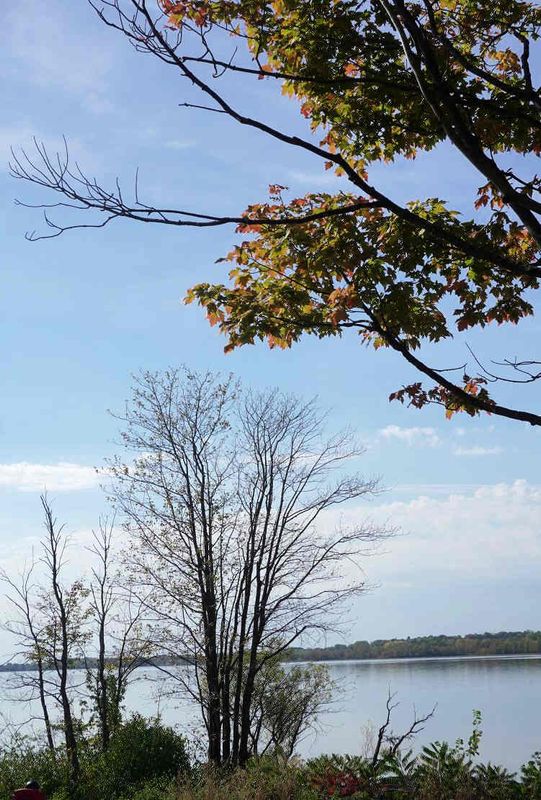 Fall