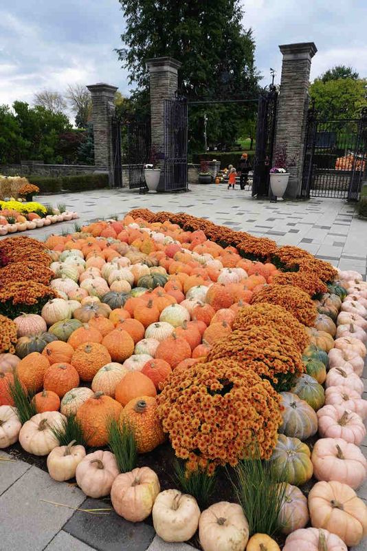 Fall