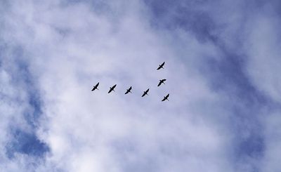 g13/17/118917/3/173168106.d2825b89.JPEG
