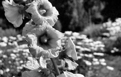 g13/17/118917/3/174127081.2680f022.JPEG