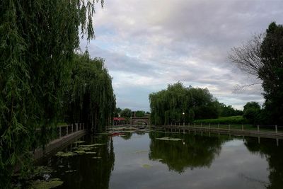g13/17/118917/3/174654536.cee5b8d2.JPEG