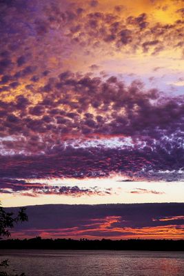 Skies 2