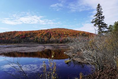 Fall