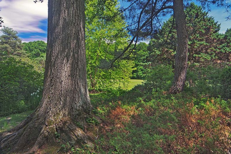 Wickham Park  Manchester, CT