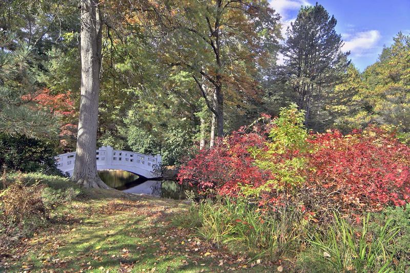 Wickham Park