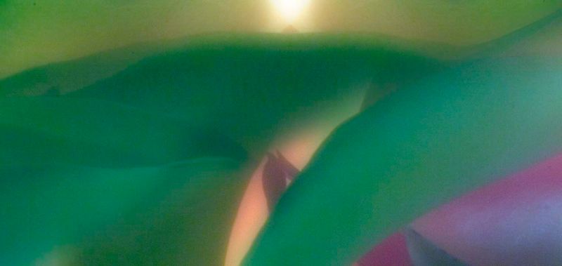 g13/17/20117/2/175544722.2df65a24.JPEG