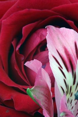 g13/17/20117/3/175338257.0f5c4ea3.JPEG