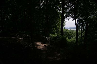 High Dynamic Range