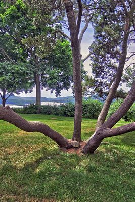 High Dynamic Range
