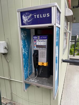 g13/17/33417/3/173517840.5d099baf.JPEG