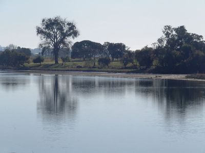 McLeay River, Early Morning