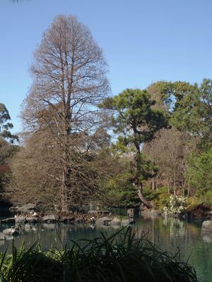 Across the main pool