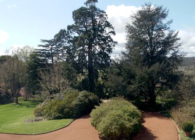 View from the upstairs veranda