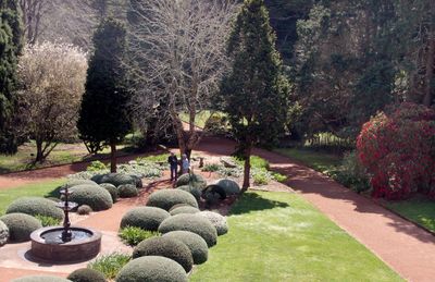 Garden, seen from the upstairs veranda
