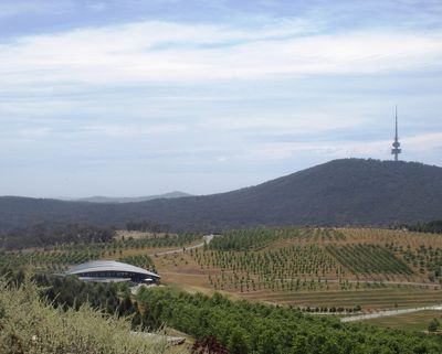 Canberra Arboretum, Telstra Tower on Black Mountain
