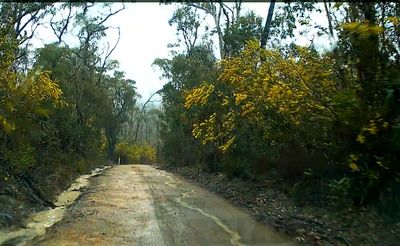 Road to Yerranderie