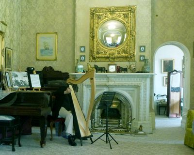 Harp musician