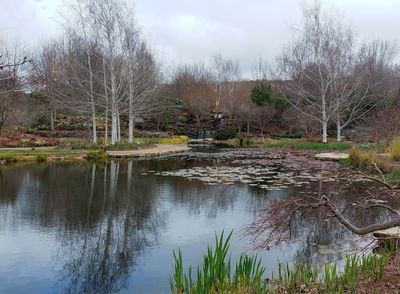 Water Gardens