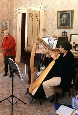 Harp musician