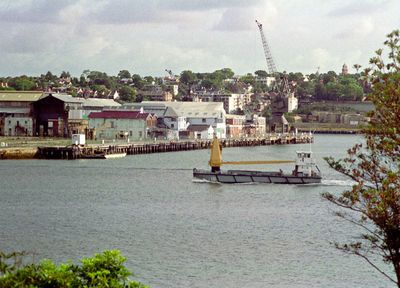 Cockatoo Island, Balmain beyond, from Morts Reserve