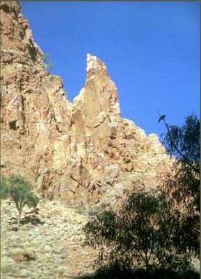 Rock feature near Simpsons Gap