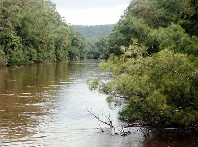 Colo River - more water again