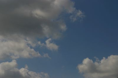 g13/17/378517/3/175456437.f01a1263.JPEG