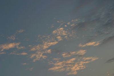 g13/17/378517/3/175457504.af8f8fca.JPEG