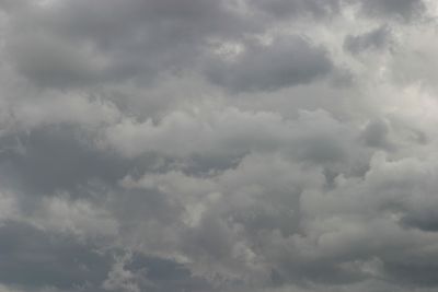 g13/17/378517/3/175459861.c8d93838.JPEG