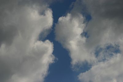 g13/17/378517/3/175464954.f1e0b2e6.JPEG