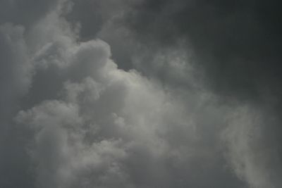 g13/17/378517/3/175464957.d705139e.JPEG